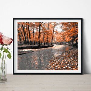 8x10 Autumn Forest Woods Nature Fall Leaves Orange Trees Print‎